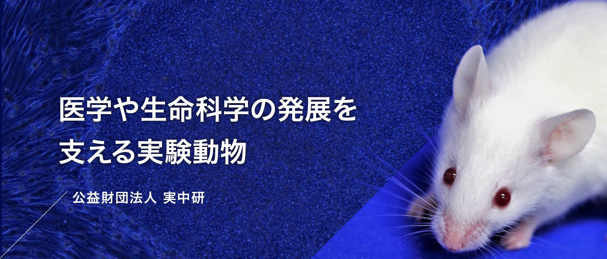 医学や生命科学の発展を支える実験動物